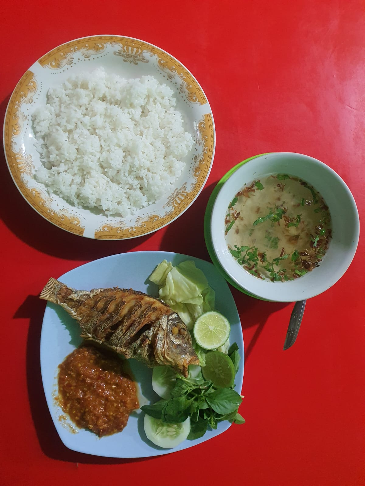 Ikan Laut